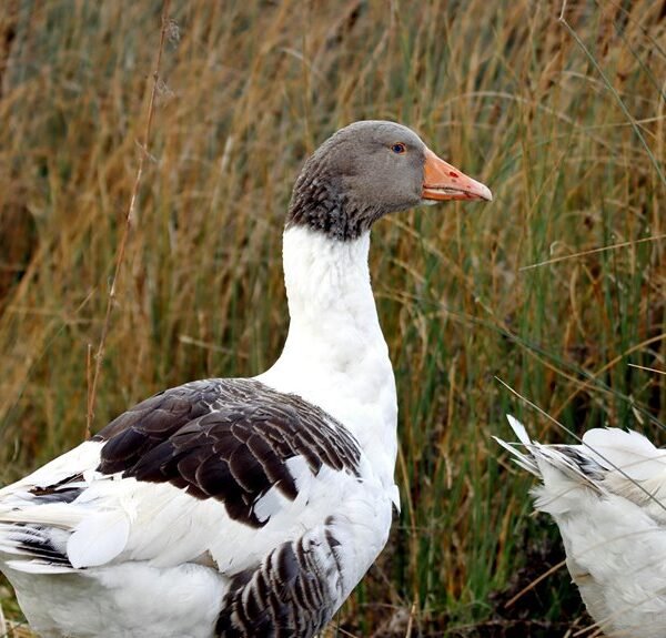 eavyomwez profile summary overview