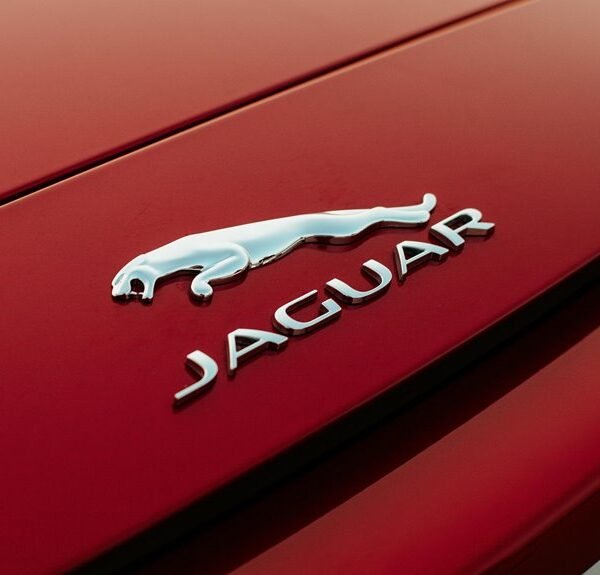 eletronoval s new features released