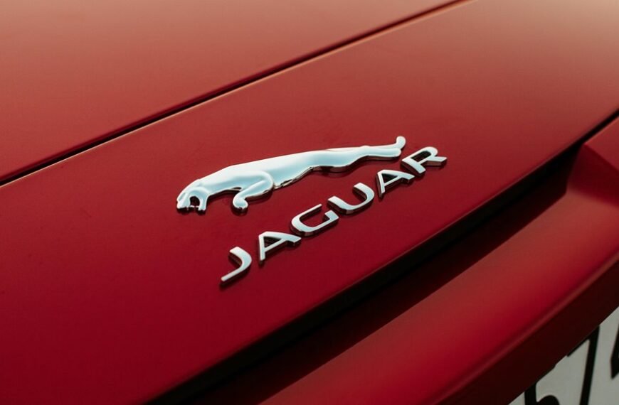 eletronoval s new features released