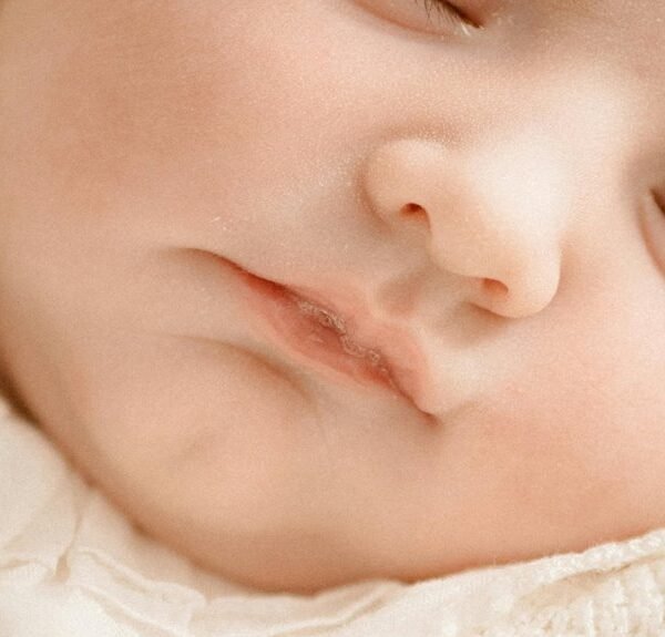 gespost s key features overview